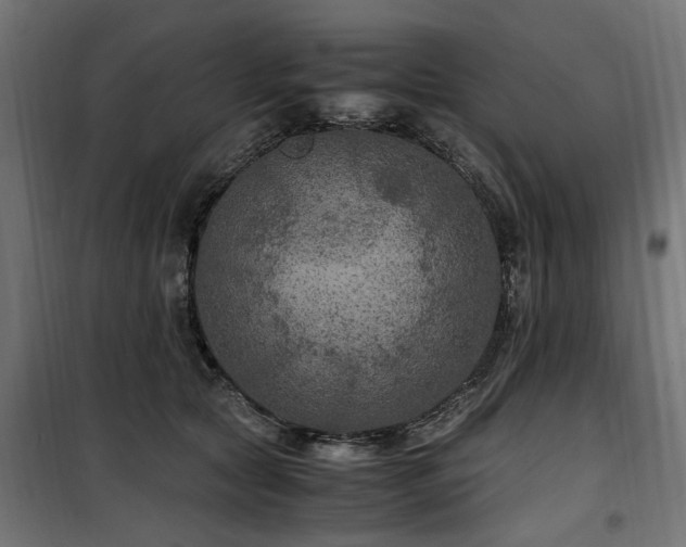 X0000100860561200806201220