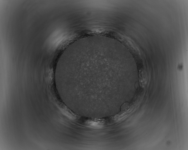 X0000100860563200806201220