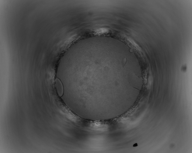 X0000100860565200806201220