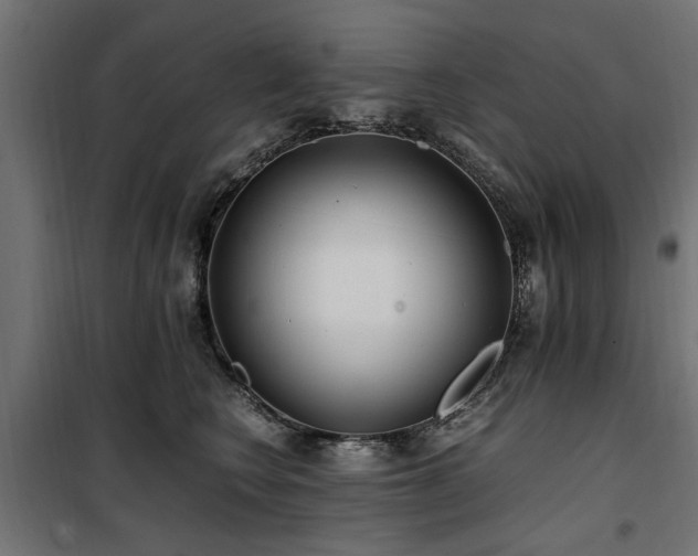 X0000100860566200806201220