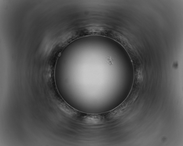 X0000100860567200806201220