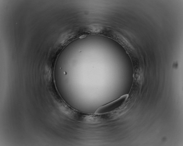 X0000100860568200806201220