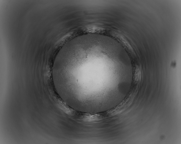 X0000100860569200806201220