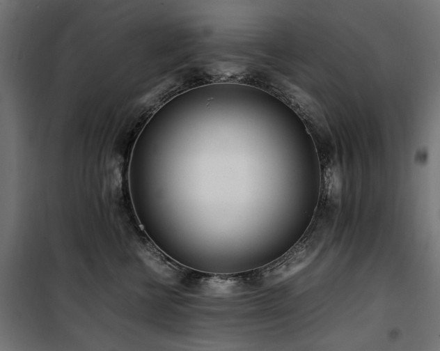 X0000100860570200806201220