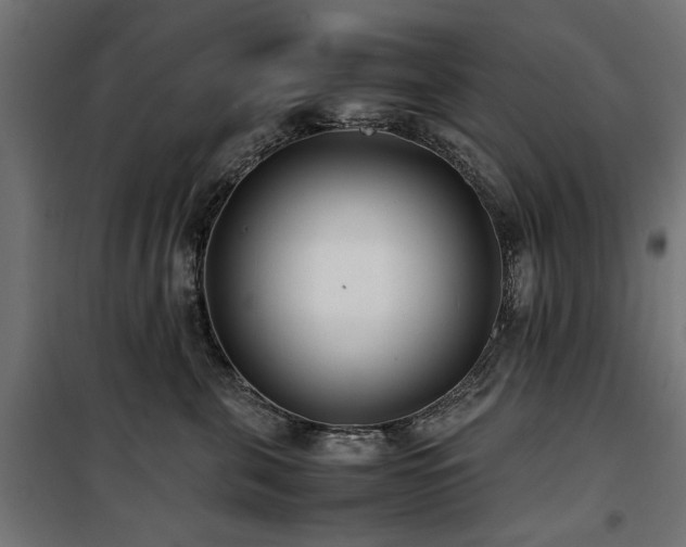 X0000100860571200806201220