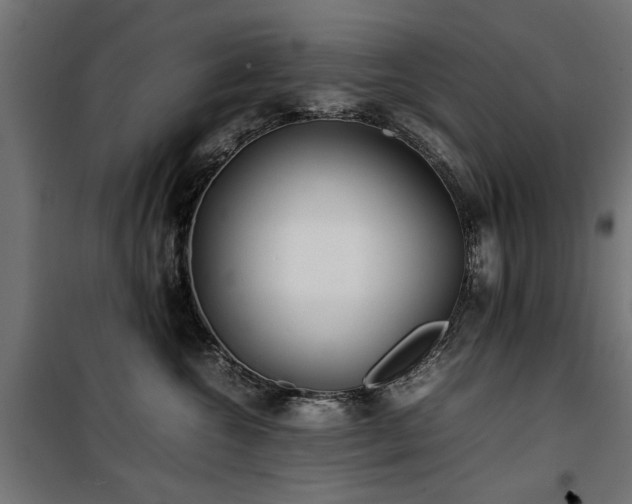 X0000100860572200806201220