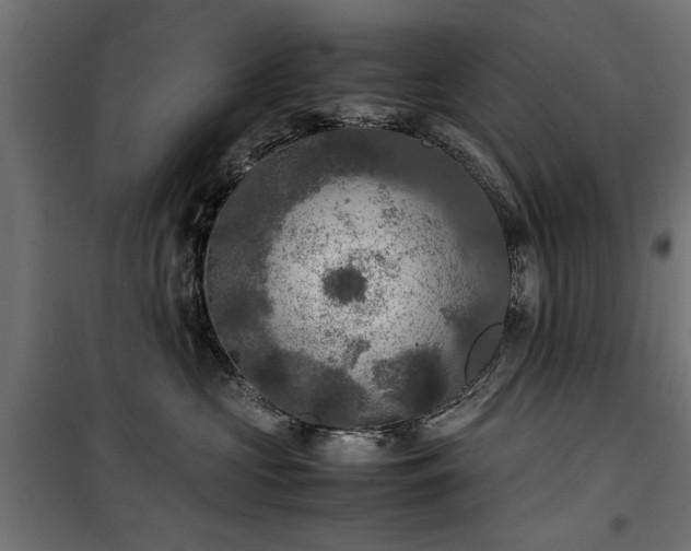 X0000100860573200806201220