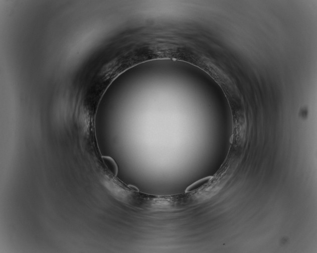 X0000100860574200806201220