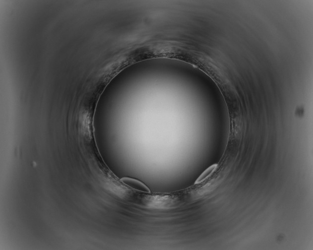 X0000100860575200806201220