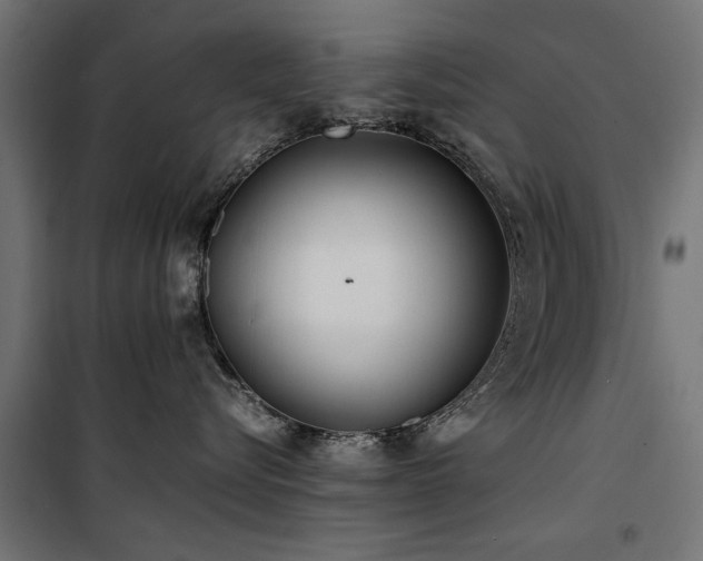 X0000100860576200806201220