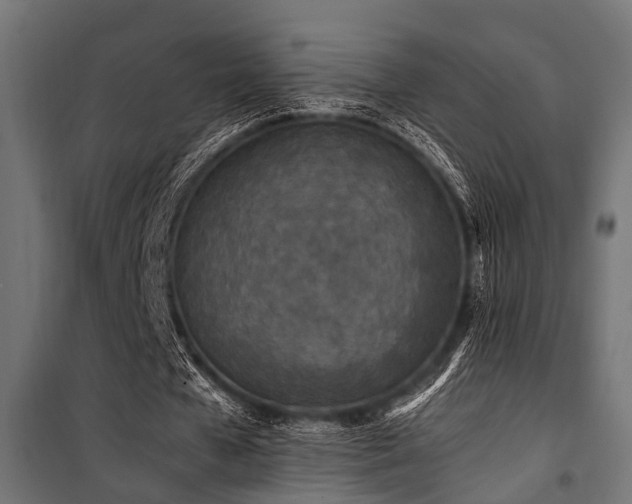 X0000100860577200806201219