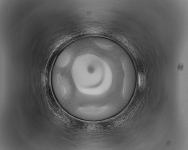 X0000100860579200806201219