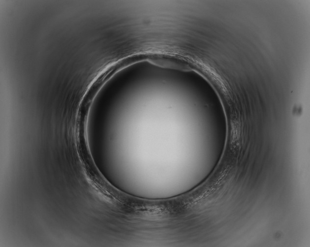 X0000100860580200806201219