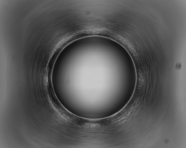 X0000100860582200806201219