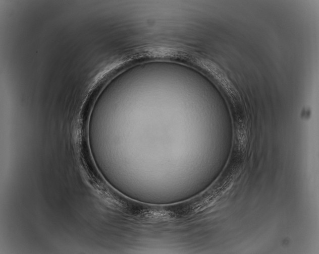 X0000100860583200806201219