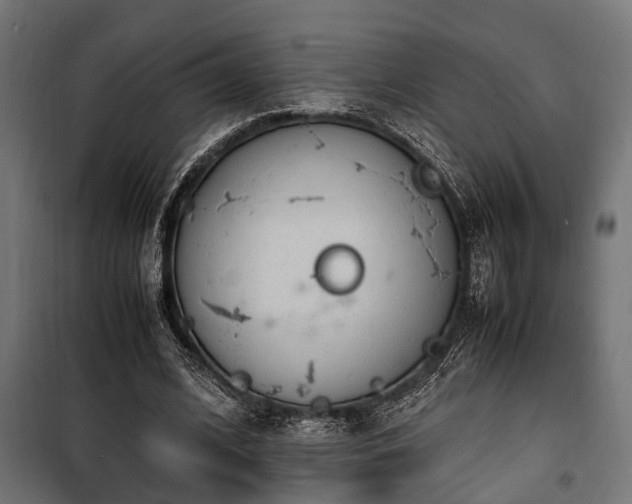 X0000100860584200806201219