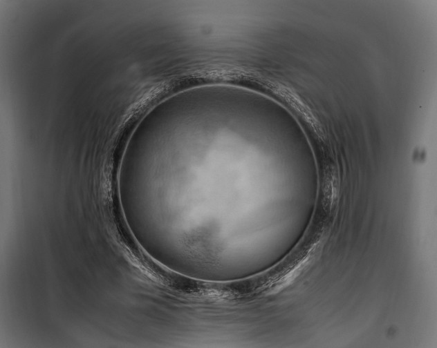 X0000100860585200806201219