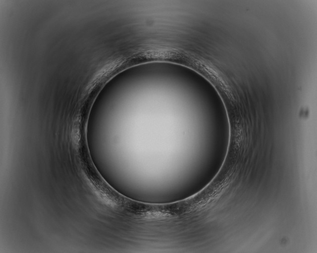 X0000100860586200806201219