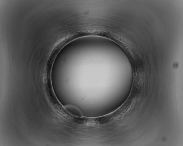 X0000100860587200806201219