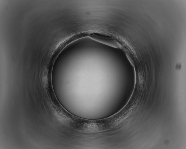 X0000100860588200806201219