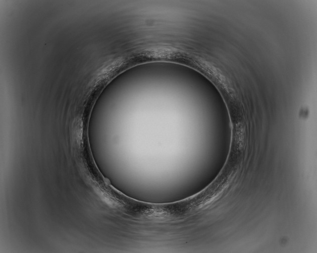 X0000100860589200806201219