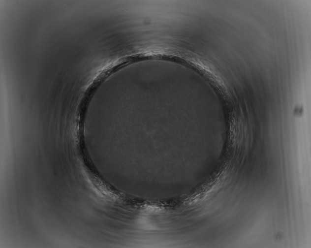 X0000100860592200806201219