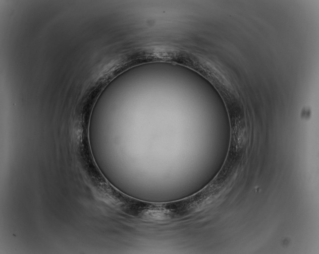 X0000100860595200806201219