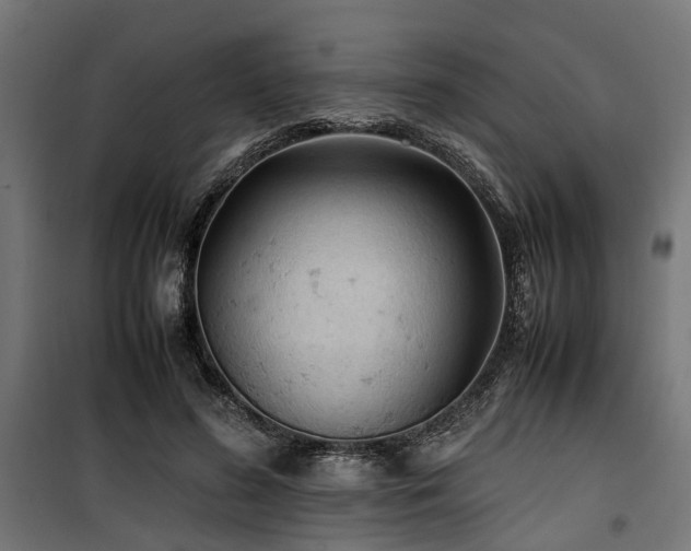 X0000100860596200806201219