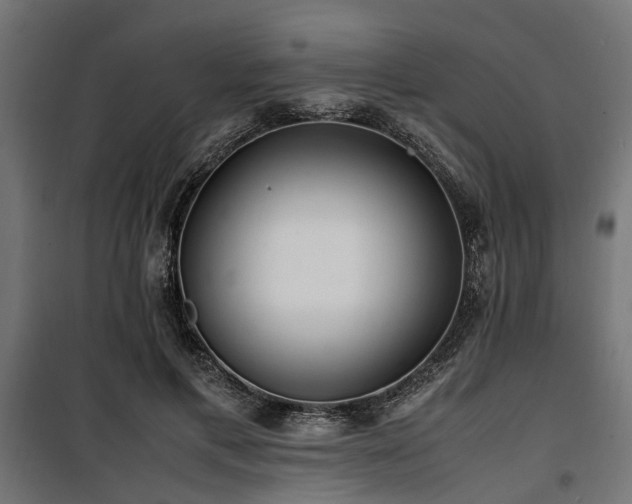 X0000100860597200806201219