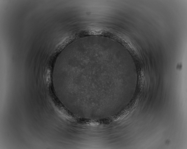 X0000100860598200806201219