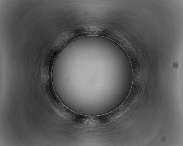 X0000100860599200806201219