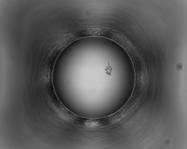 X0000100860602200806201219