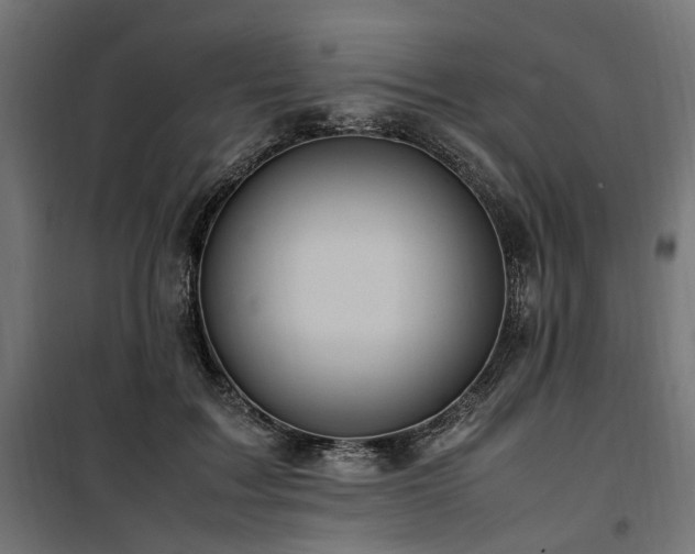 X0000100860603200806201219