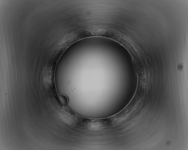 X0000100860604200806201219