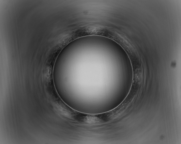 X0000100860605200806201219