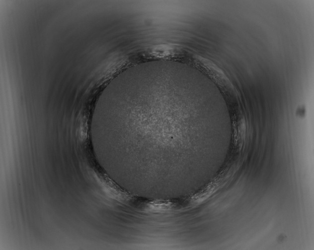 X0000100860606200806201219