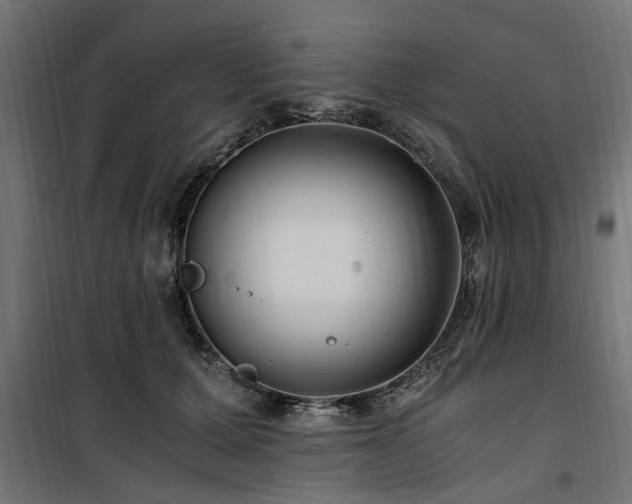 X0000100860607200806201219