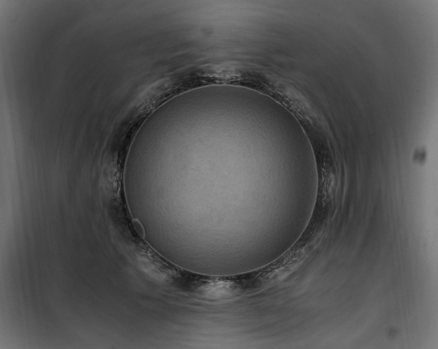 X0000100860609200806201219