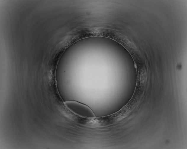 X0000100860611200806201219