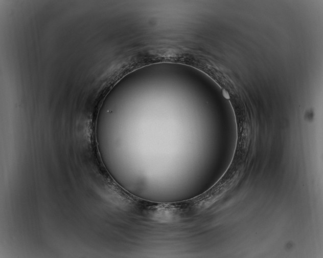 X0000100860612200806201219