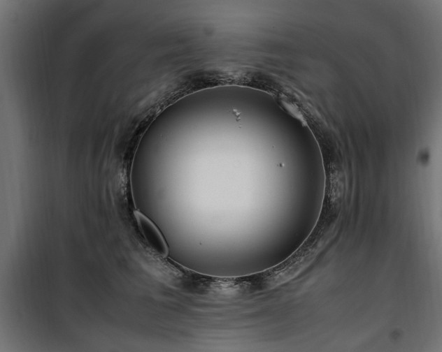 X0000100860613200806201219