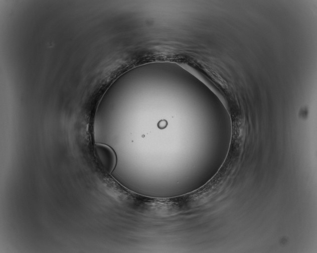 X0000100860615200806201219