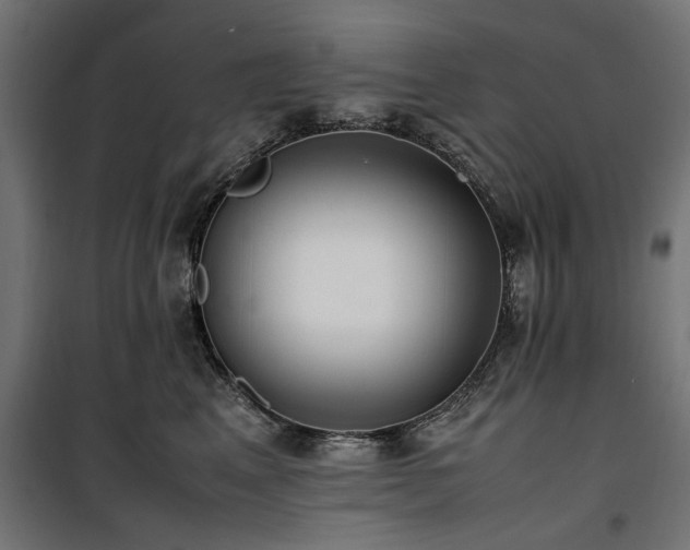 X0000100860617200806201219