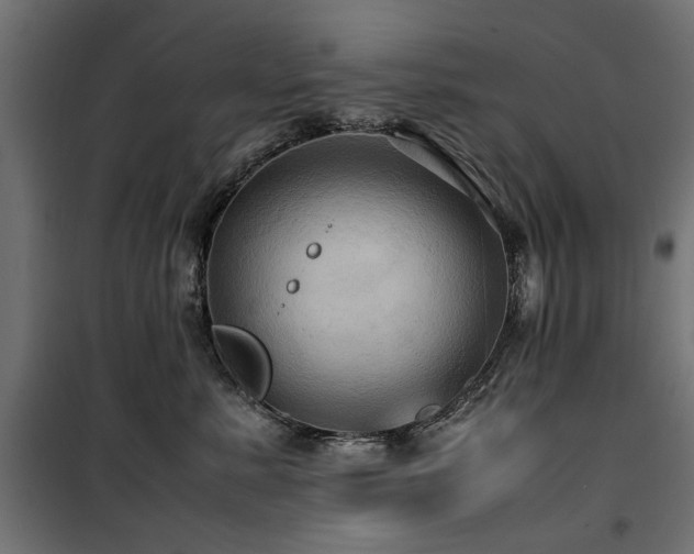 X0000100860619200806201219