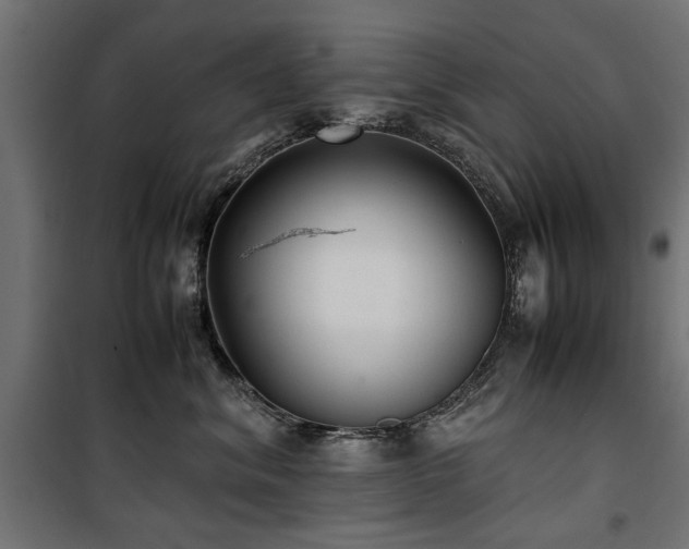 X0000100860620200806201219