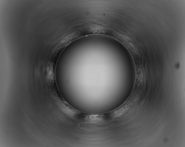 X0000100860622200806201218