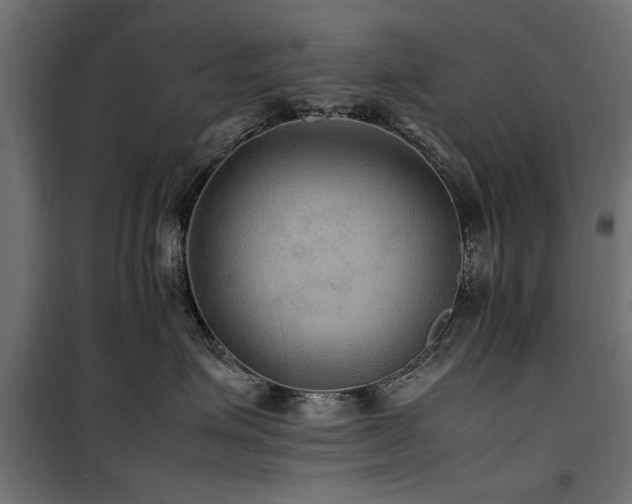 X0000100860623200806201218