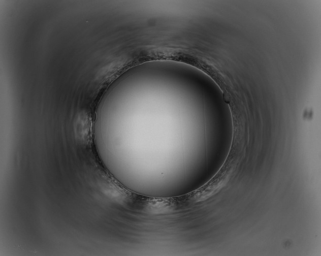 X0000100860624200806201218