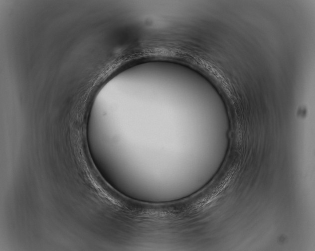 X0000100860625200806201218