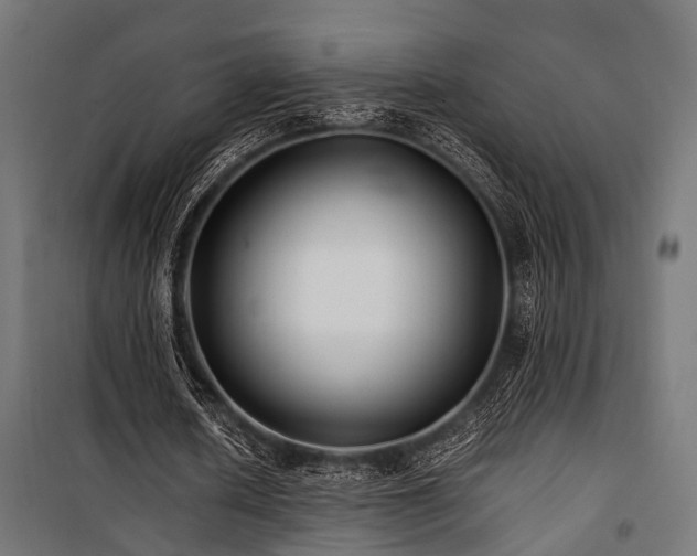 X0000100860626200806201218